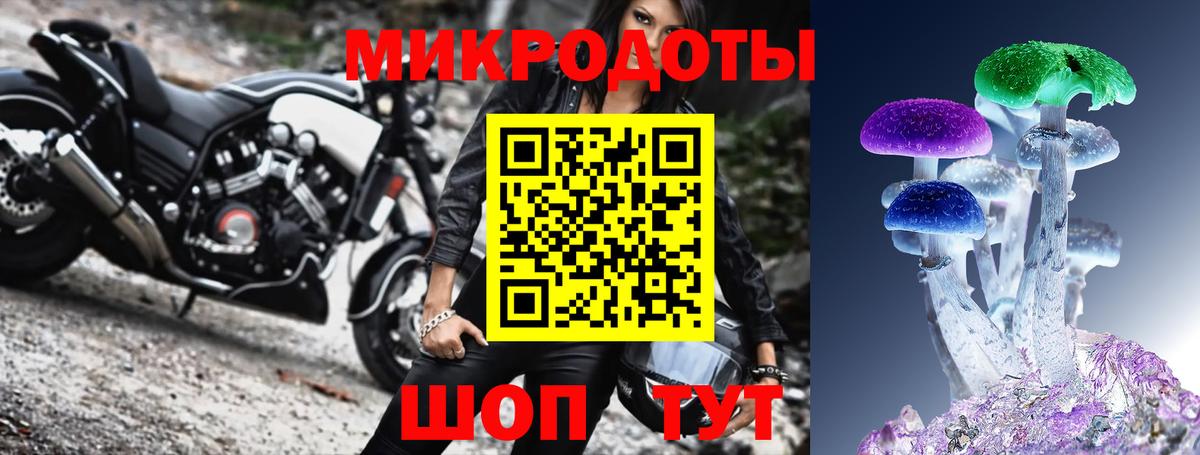 Псилоцибиновые грибы Psilocybine cubensis Ангарск