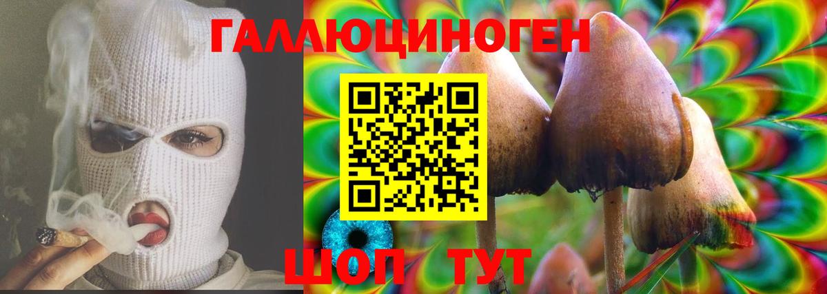 Псилоцибиновые грибы GOLDEN TEACHER  как найти закладки  Ангарск  Галлюциногенные грибы мухоморы 