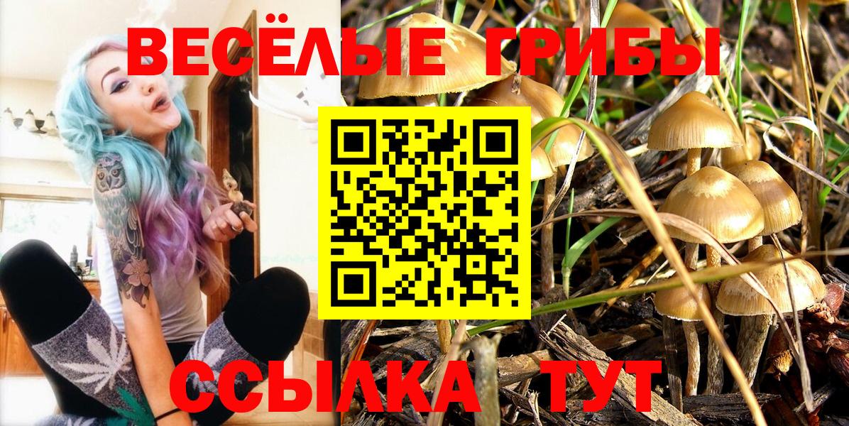 Галлюциногенные грибы мухоморы  Псилоцибиновые грибы мухоморы  Ангарск  Вход с VPN 