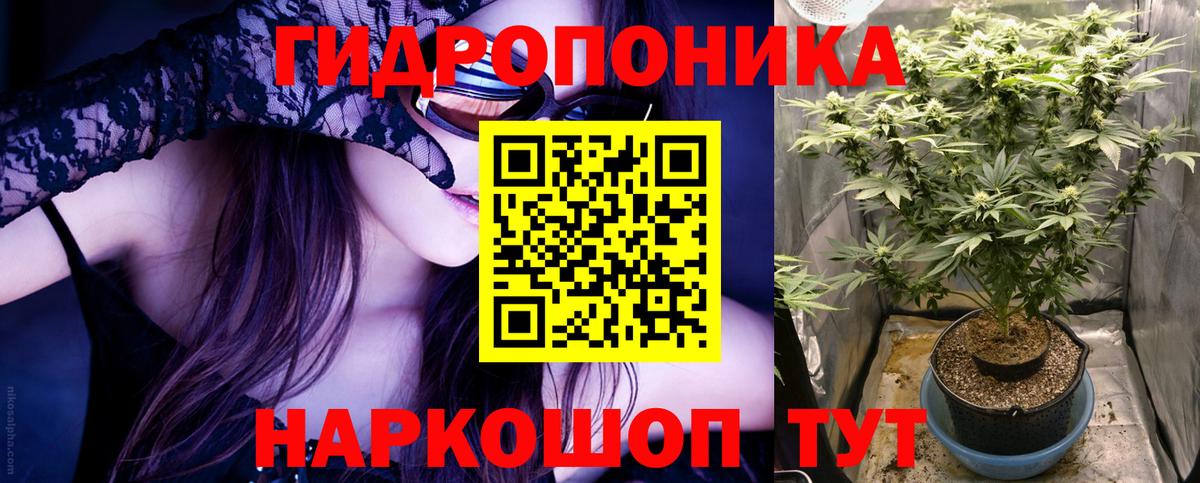 Шишки марихуана MAZAR  Канабис тримм  Марихуана марихуана  Ангарск 